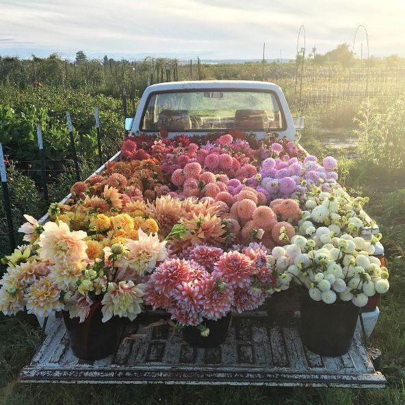Twilight Whispers Exotic Arrangement